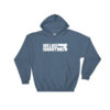 WLS Hoodie - Image 4