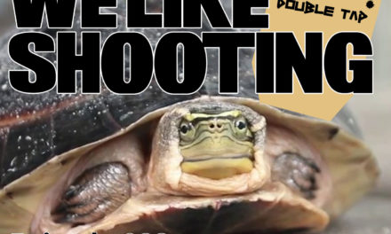 WLS Double Tap 023 – That’s not how turtles work