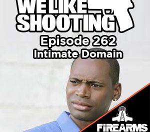 WLS 262 – Intimate Domain