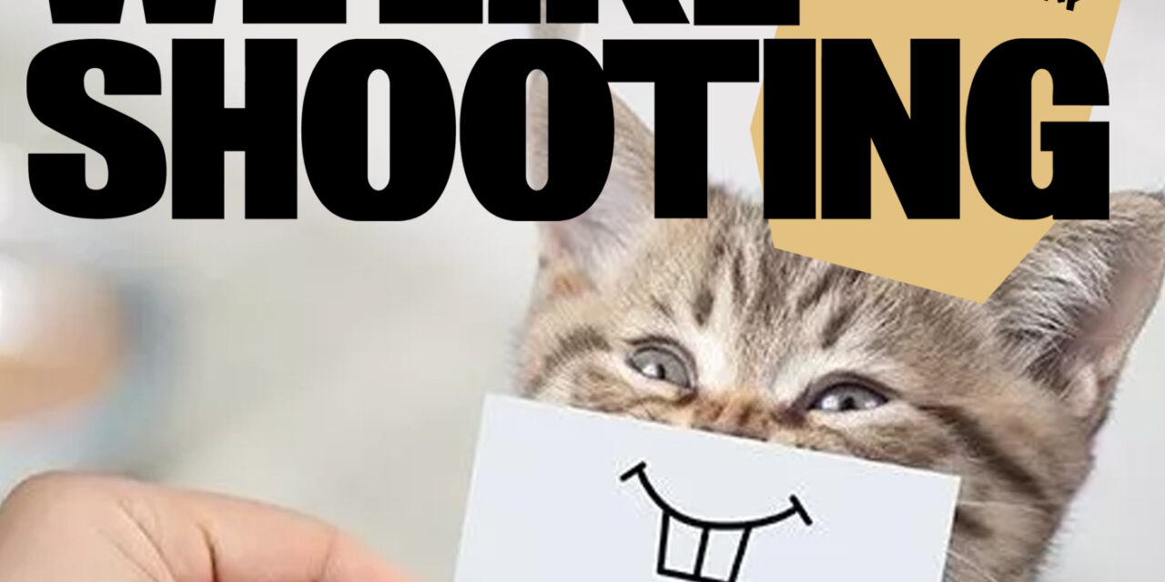 WLS Double Tap 206 – Ten Thousand Kittens