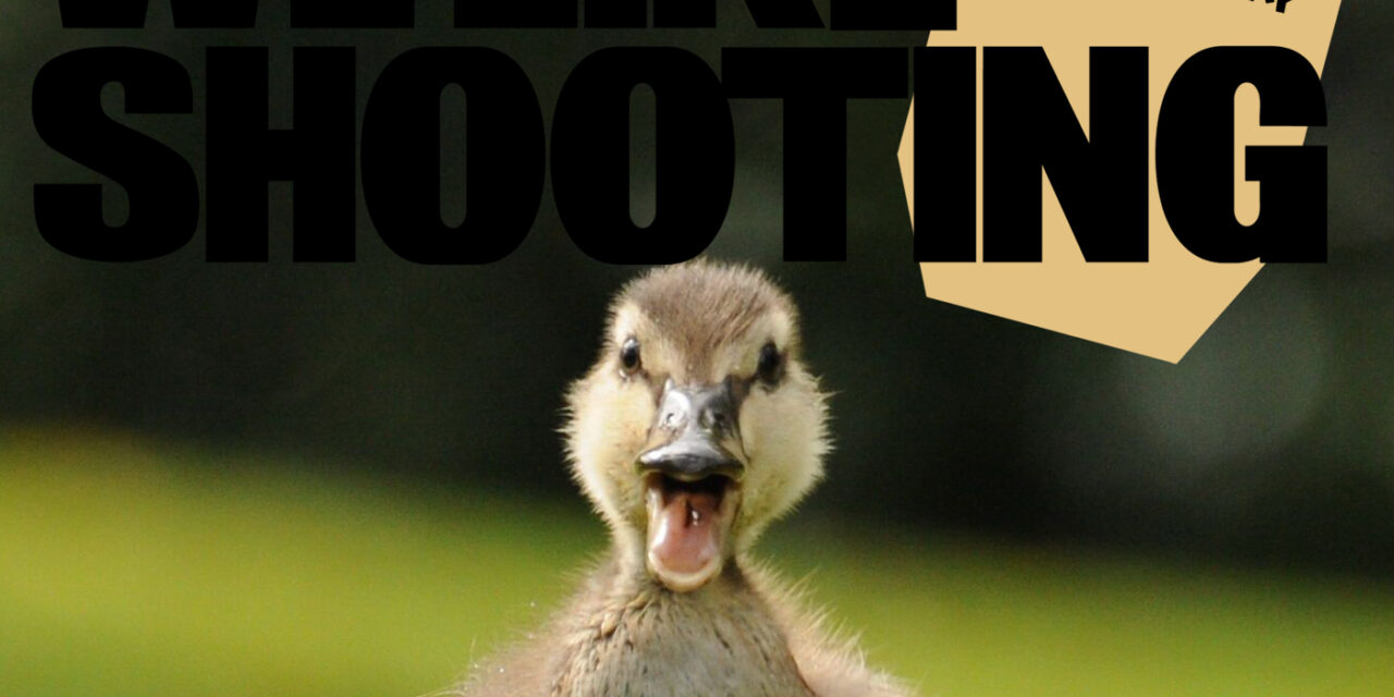 WLS Double Tap 208 – Duck Pic